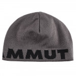 MAMMUT Logo Beanie 