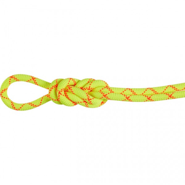Mammut 9.5 Alpine Core Protect Dry Rope lano