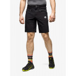 Mammut Aenergy Light SO Shorts Men