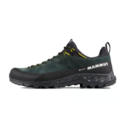 Mammut Alnasca IV Low LTH GTX Men